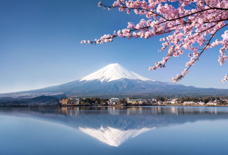 Organisation de mon voyage au japon avec l'agence de voyage WiiSmile